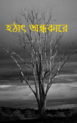 হঠাৎ অন্ধকারে