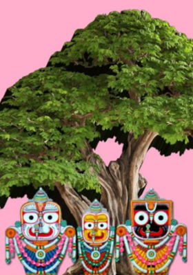 କଳ୍ପବଟେ ତୋର ବାନ୍ଧିଲି ଡୋର