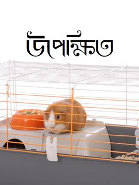 উপেক্ষিত