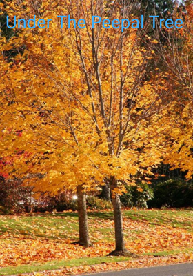Under The Peepal Tree 