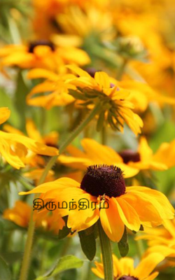திருமந்திரம்