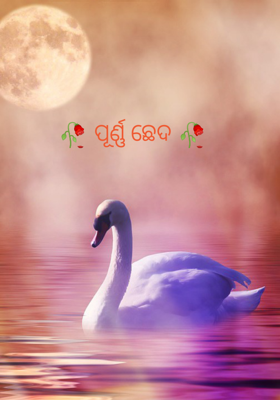 ପୂର୍ଣ୍ଣ ଛେଦ