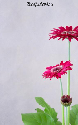 మొఘమాటం