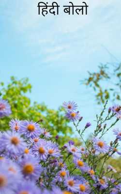 हिंदी बोलो