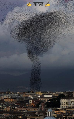 ✍️ बादल ✍️-( 44 )