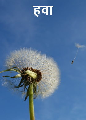 हवा