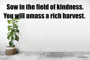 Sow in the field of kindness. You will amass a rich harvest. 