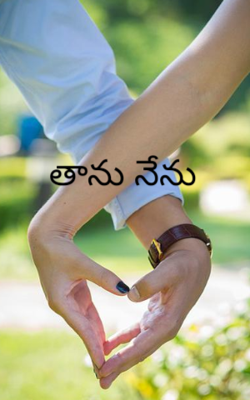 తాను నేను