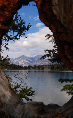 People's Are Charismatic