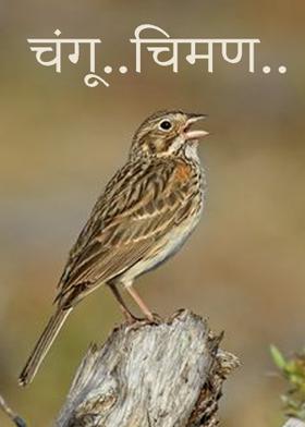 चंगू..चिमण..