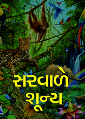 સરવાળે શૂન્ય