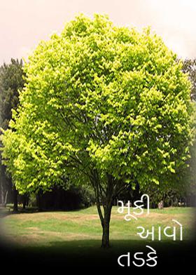 મૂકી આવો તડકે