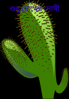 শুধু চোখের দোষী