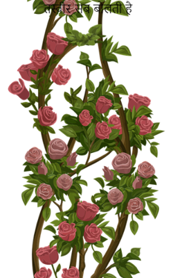 तस्वीर सब बोलती है