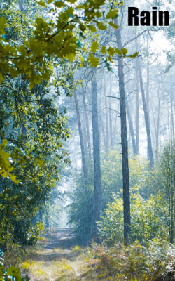 Rain