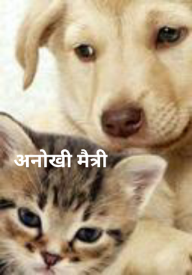 अनोखी मैत्री