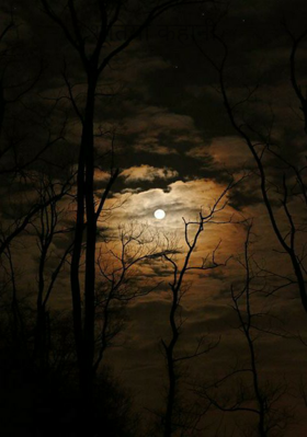 भूतिया कहानी