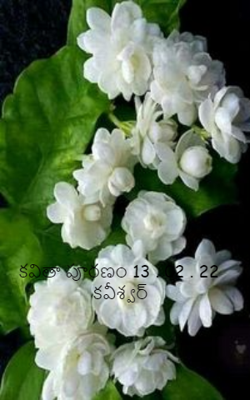 కవితా పూరణం 13 . 02 . 22   కవీశ్వర్