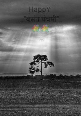 बसंत पंचमी