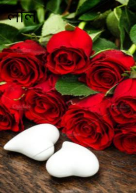 লাল গোলাপ