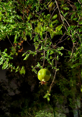 i miss when we were losers