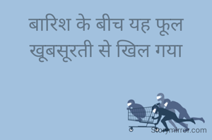 बारिश के बीच यह फूल खूबसूरती से खिल गया