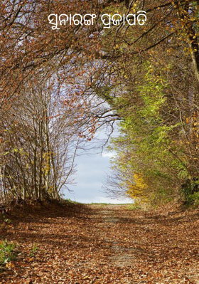 ସୁନାରଙ୍ଗ ପ୍ରଜାପତି