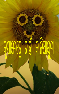 କୃପାନେତ୍ରେ ଚାହାଁ କାଳିଆସୁନା