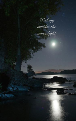Wishing amidst the moonlight
