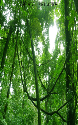 तुझे शत -शत प्रणाम