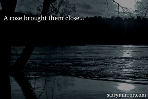 A rose brought them close...