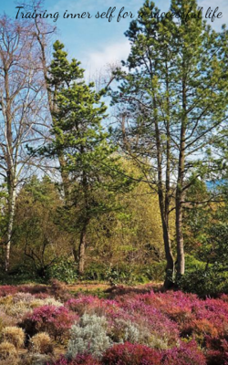 Training inner self for a successful life