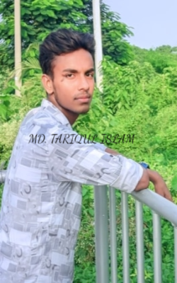 Md. Tariqul Islam