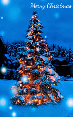 Merry Christmas