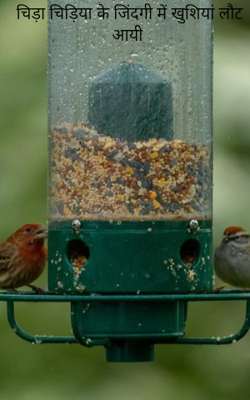 चिड़ा चिड़िया के जिंदगी में खुशियां लौट आयी