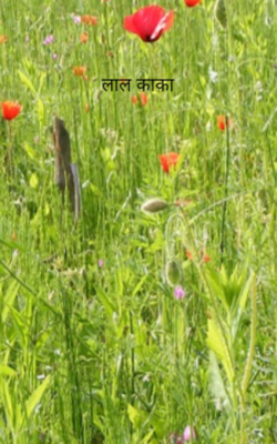 लाल काका