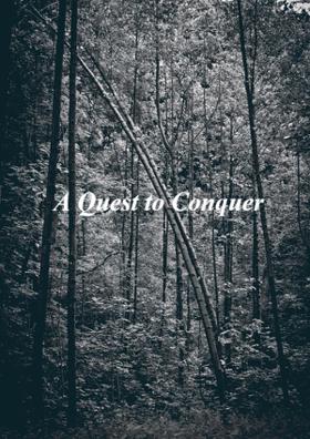 A Quest To Conquer
