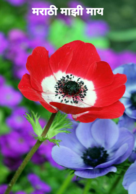 मराठी माझी माय