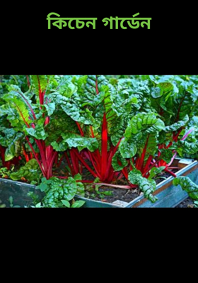 কিচেন গার্ডেন