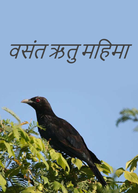 वसंत ऋतु महिमा