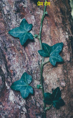 प्रेम रोग