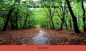 The Side Of The Road