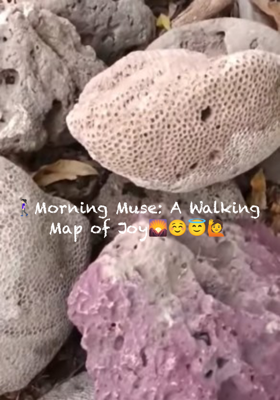 🚶🏻‍♀️Morning Muse: A Walking Map of Joy🌄☺️😇🙋