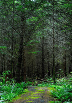 పర్యావరణం 