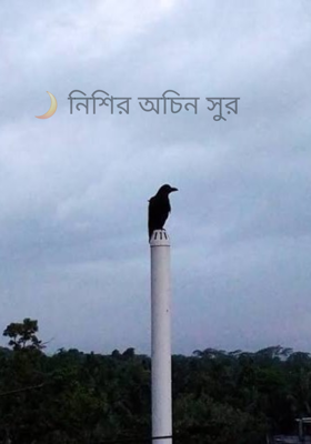 🌙 নিশির অচিন সুর