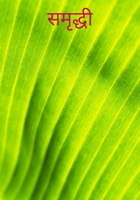 समृद्धी