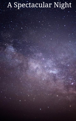 A Spectacular Night