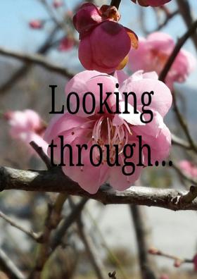 Looking Through...
