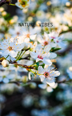 Nature Vibes