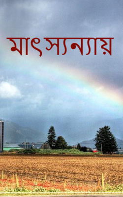 মাৎস্যন্যায়